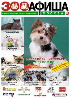 N 22, АПРЕЛЬ 2013