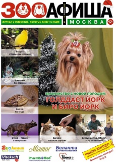 N 19, ЯНВАРЬ 2013